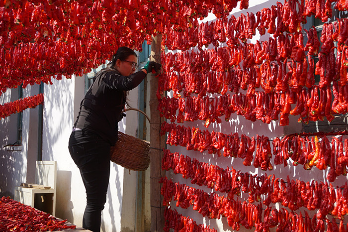 图七：晾晒的辣椒红遍农家小院_副本.jpg