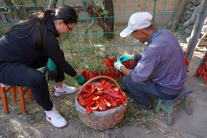 图六：帮助村民晾晒辣椒_副本.jpg