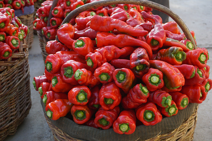 图五：新鲜采摘的辣椒惹人爱_副本.jpg