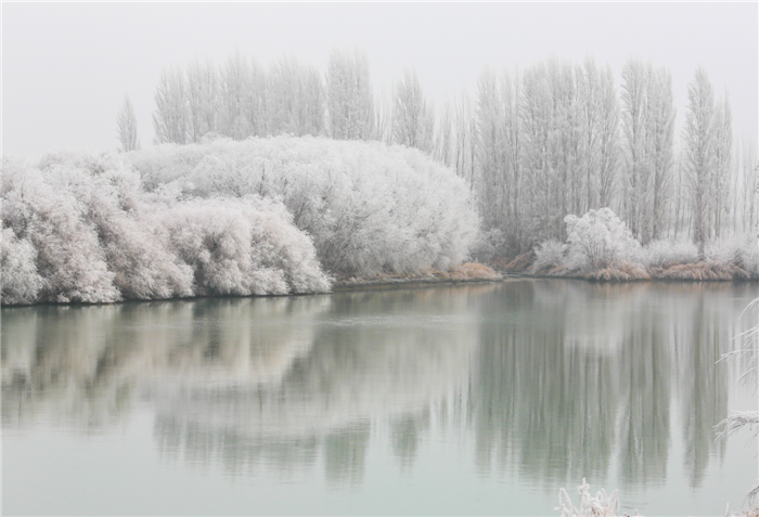 图七：雪后焉耆，在开都河畔形成雾凇.png