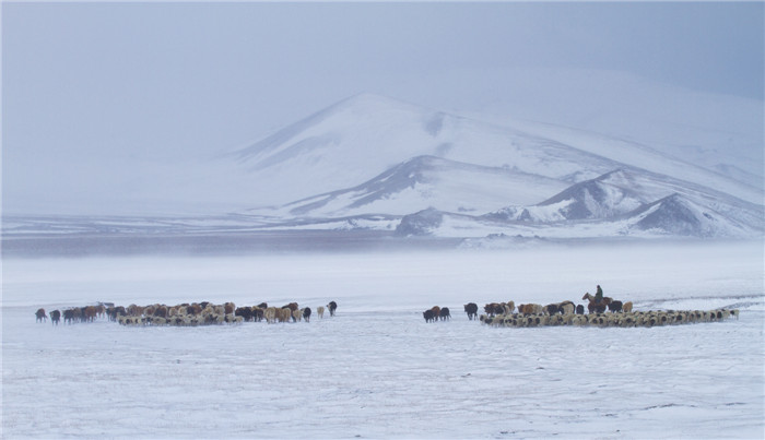 图二：风雪牧归 .jpg