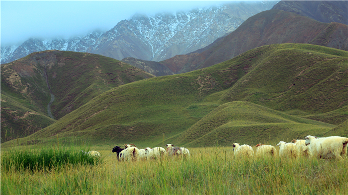 7e71a13caeaaceb875b522144aa077a0.jpg 4.JPG