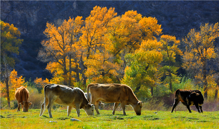 a60b171157ec741bfcab7e8d57b7b8c5.jpg 5.jpg