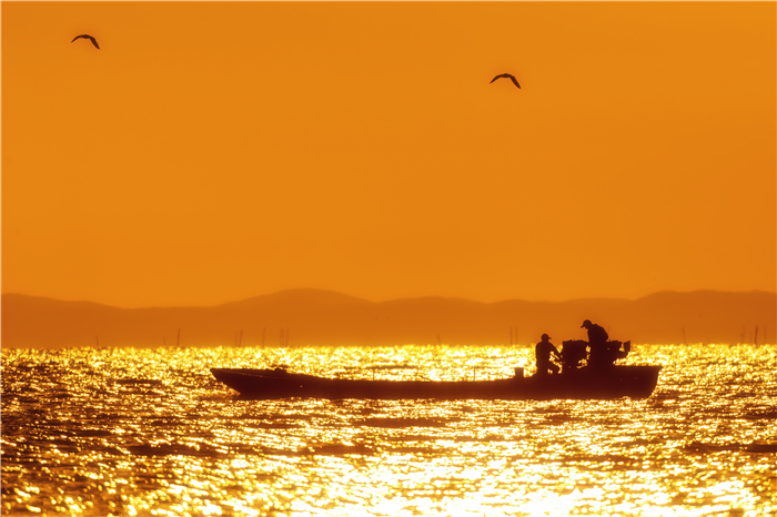 49e3e41fc61f95335cff058bdbb5baed.jpg 3.jpg