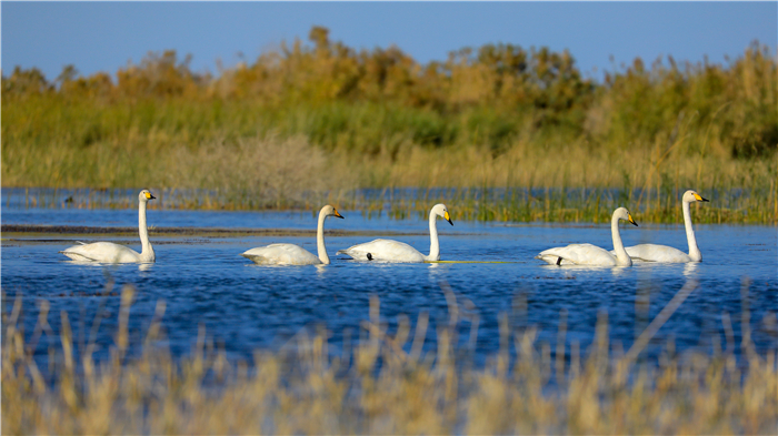 6ec1d3a038834c086738c4257444cf96.jpg 2.JPG