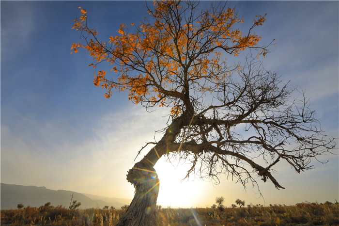 58b9e409b2b466a95839b6d66b498a7a.jpg 6.JPG