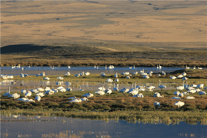 0267f88b9c455b000d696948bfa85167.jpg 4.jpg