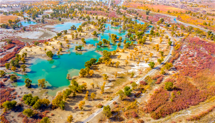 dd250216e51b4af6e6ee66cdada9a092.jpg 1.jpg