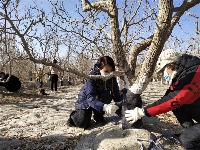 bab66470f5dcf21a0ab1edcb895a259e.png 4.png