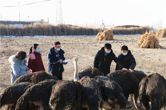 17b0ff6e93123123db2e324ffb8e04f1.jpg 5.jpg